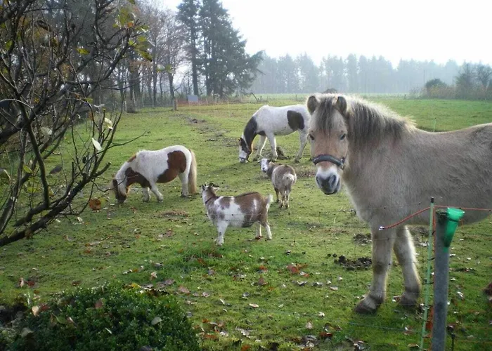 Between The Seas Vakantiehuis