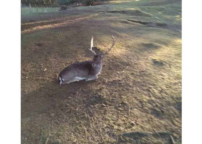 Between The Seas Vakantiehuis Leck