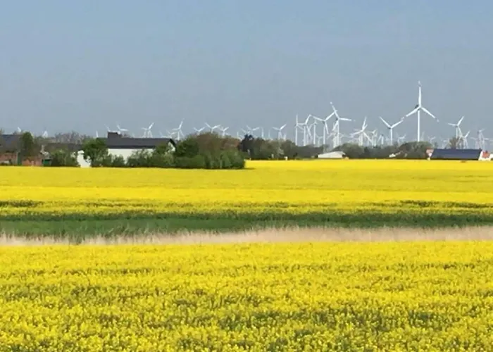 Between The Seas Vakantiehuis Leck